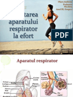 Adaptarea Aparatului Respirator La Efort