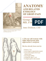 anatomyrelatedetiologygroinpain-110210093733-phpapp02