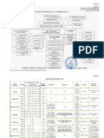 Anexa 1 Structura Organizatorica