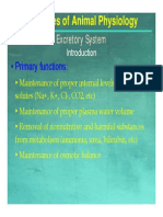 11 Animal Physiology - Excretory Systems