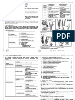 Ctbiol 2ºs Iiip