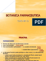 Botanica Curs13