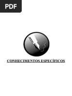 4_-_conhecimentos_espec_ficos_5