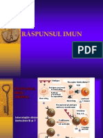 12_Raspunsulimun