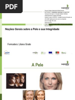 Download Noes Gerais Sobre a Pele e Sua Integridade by Liliana Grade SN219636861 doc pdf
