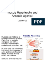 Muscle Fibers for Growth Potential