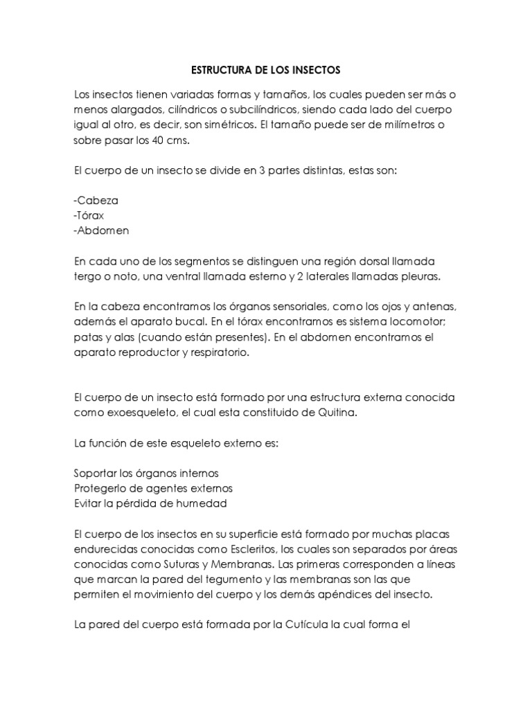 Estructura de Los Insectos | PDF | Sistema digestivo humano | Insectos
