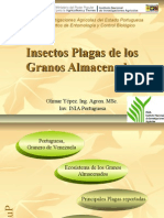 Insectos Plagas de Los Granos Almacenados