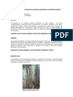 Comportamiento Estructural de La Guadua Angustifolia - Caori Takeuchi PDF