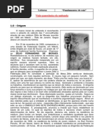 Visão Panorâmica Da Umbanda