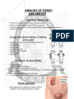 Learning Objectives: Anomalies of Kidney and Ureter