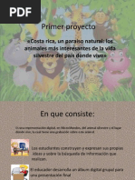 primer proyecto