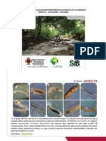 Guia de Macroinvertebrados