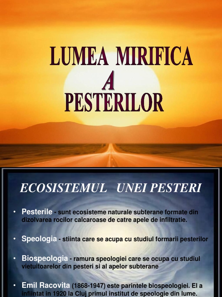 Ecosistemul Unei Pesteri | PDF