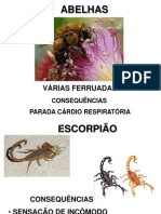 Palestra de Animais Peçonhentos Enf - Silvia