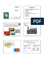 Transport Across Cell Membrane