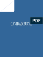 Cavidad Bucal