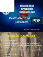 Anatomia Semana 04