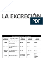 Excreción en Organismos Inferiores