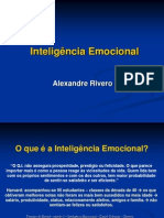 intelignciaemocional4-101107202717-phpapp02