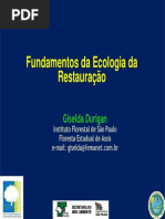 Fundamentos Ecologia Da Restauração
