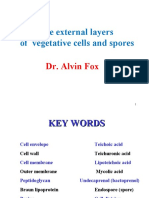 The External Layers of Vegetative Cells and Spores: Dr. Alvin Fox