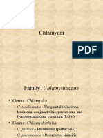 Family: Chlamydiaceae