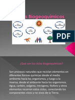 Ciclos BiogeoquÃ_micos[1].pdf