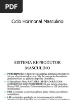 Ciclo Hormonal Masculino e Feminino