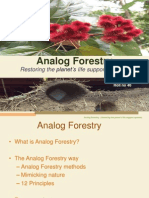 Analog Forestry Project