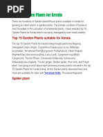 Download Top 15 Garden Plants for Kerala by Ramabhadran SN219779025 doc pdf
