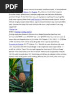 Download Nanas by Syafiah Eppie SN219780930 doc pdf