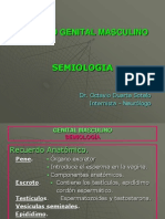 Semiología Del Aparato Genital Masculino