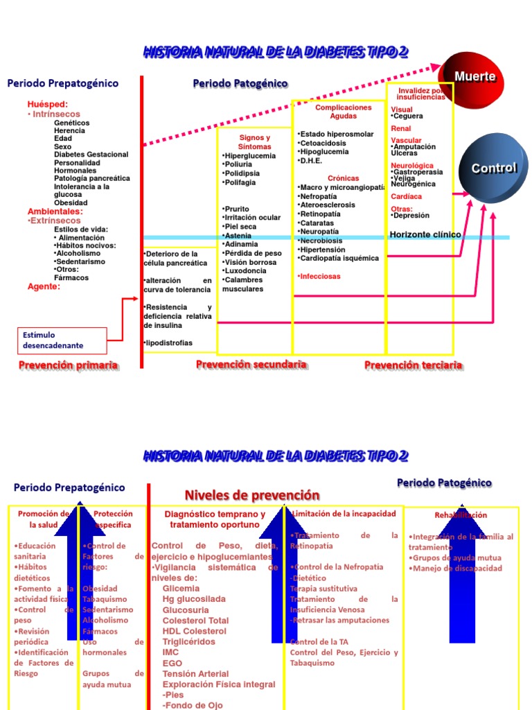 Historia Natural De La Diabetes Tipo 2 Periodo