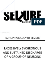 Pathophysiology of Seizure