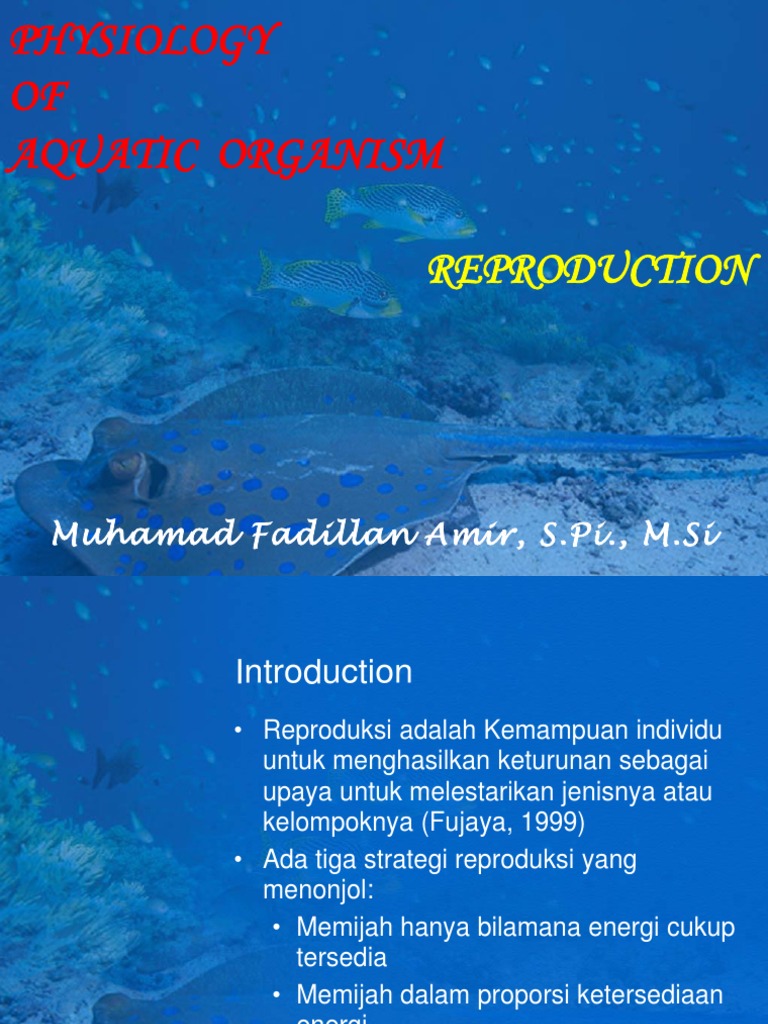 Reproduksi Ikan Pdf