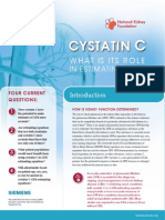 Cystatin: What Is Its Role