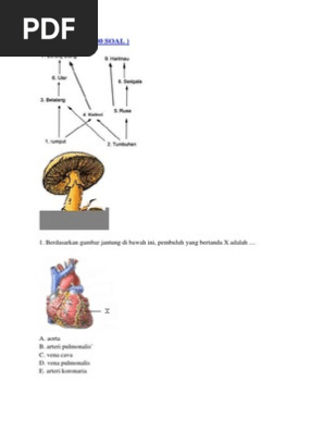 Paling Baru Sketsa Gambar Sel Hewan Hitam Putih Tea And Lead Paling Baru Sketsa Gambar Sel Hewan Hitam Putih Tea And Lead