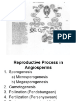 Chapter2+seed+developmental+process+edit