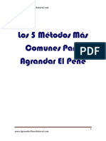 PDF Metodos Pene