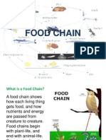 Foodchain