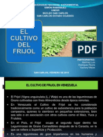 Cultivo Del Frijol (Martínez-Unesr)