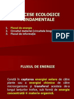 C8_flux Energie