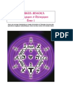 Rituels Magiques Et Théurgiques Tome1