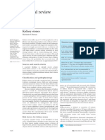 Clinical Review: Kidney Stones