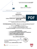 Certificate TTT Directori - Petrom-Scoala Altfel