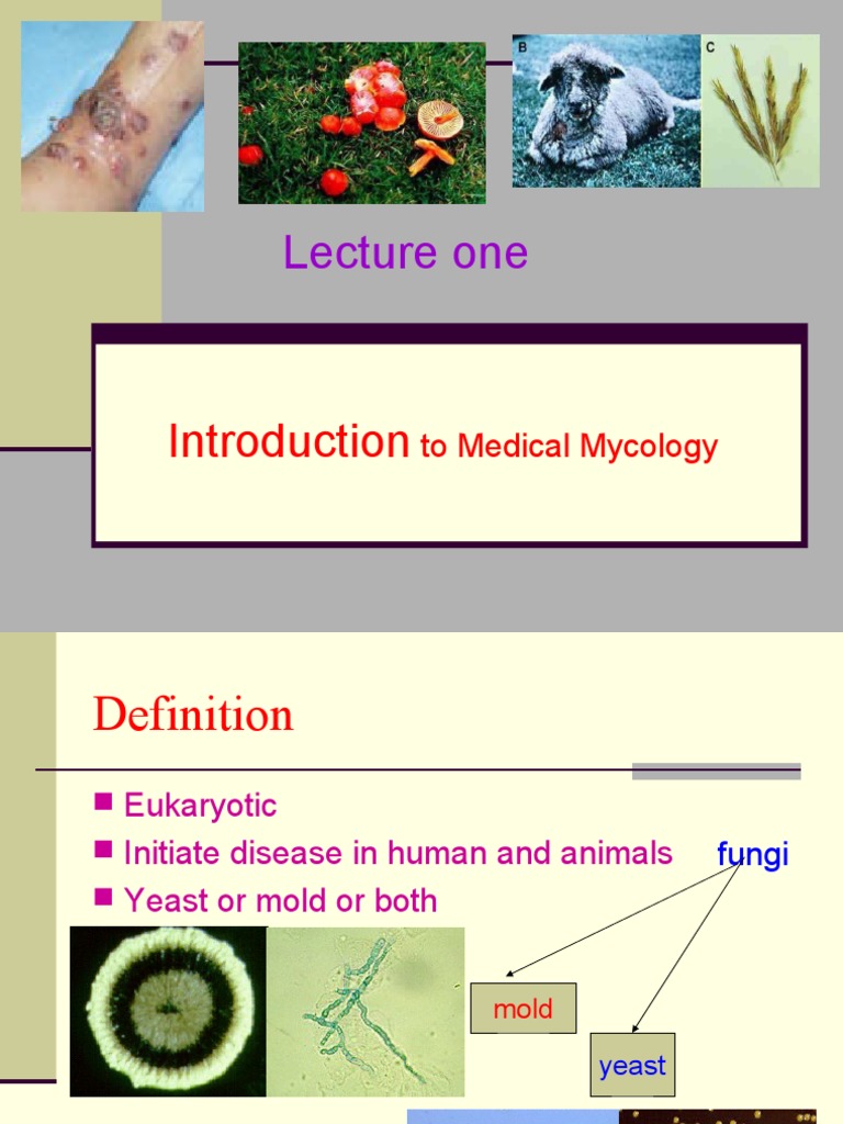 Introduction to Medical Mycology | PDF | Fungus | Sexual Reproduction