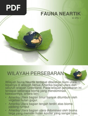 570 Koleksi Gambar Fauna Neartik Gratis Terbaik