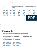 Punnett Squares Pass It Pass It Key