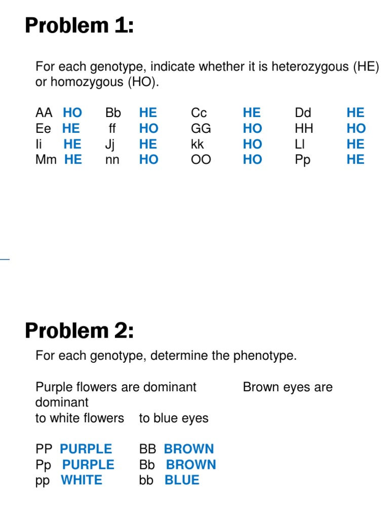 Genetics Problem Set | PDF | Zygosity | Dominance (Genetics)